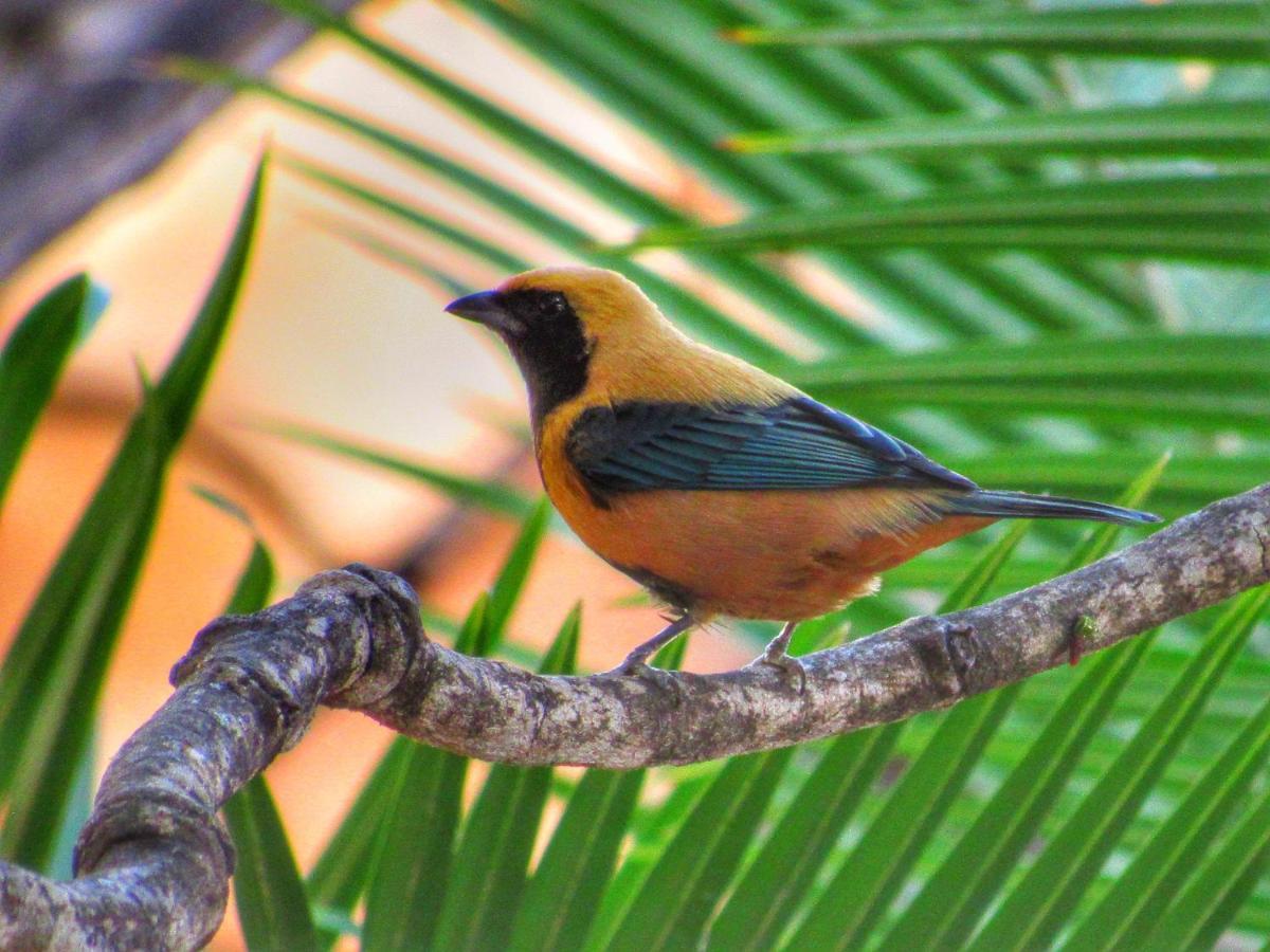 Serra do Cipo National Park Pousada Anaue Cipo מראה חיצוני תמונה